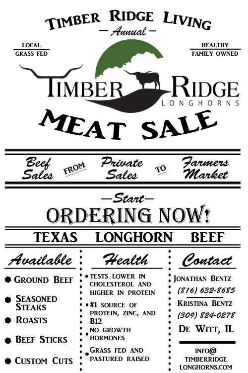 Longhorn Beef For Sale